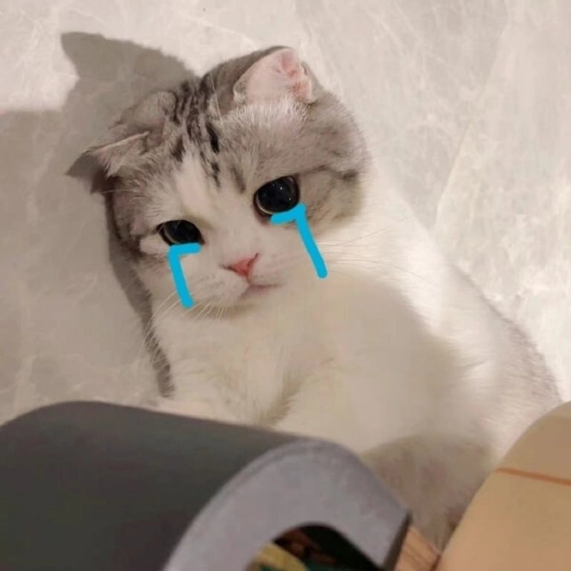 Meme thương là cách tuyệt vời để bày tỏ sự quan tâm và yêu thương.
