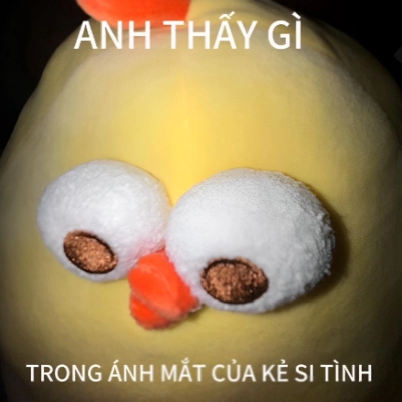 Meme tình yêu dễ thương để thể hiện cảm xúc ngọt ngào!