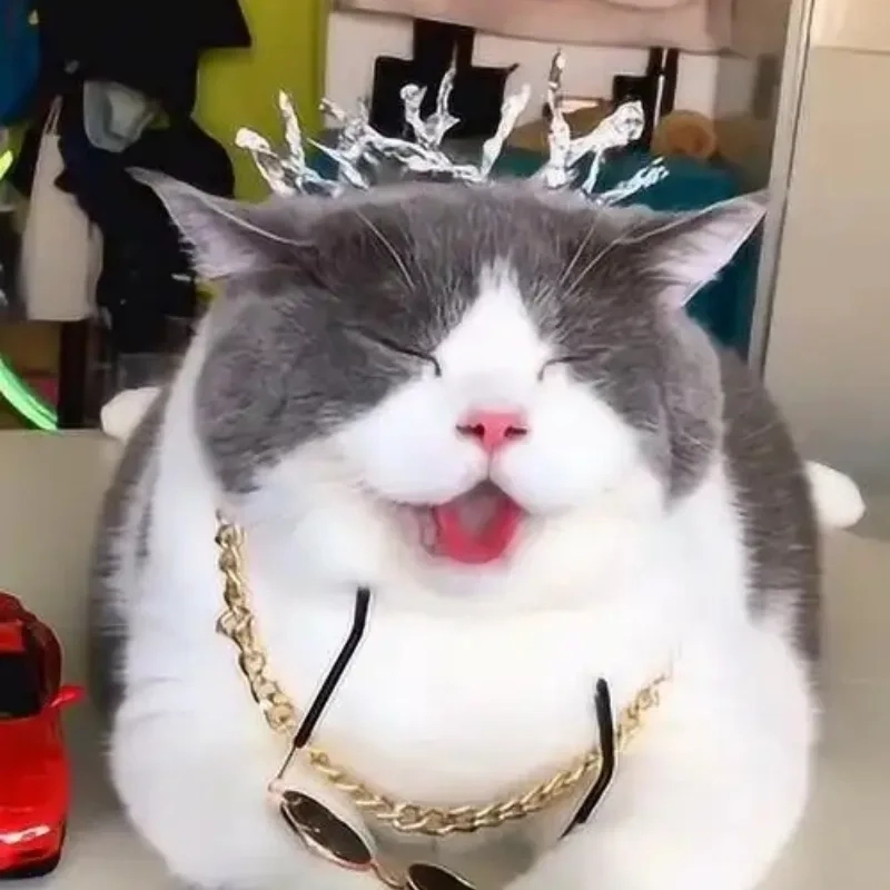 Cười bể bụng với loạt ảnh meme hài bựa cực lầy