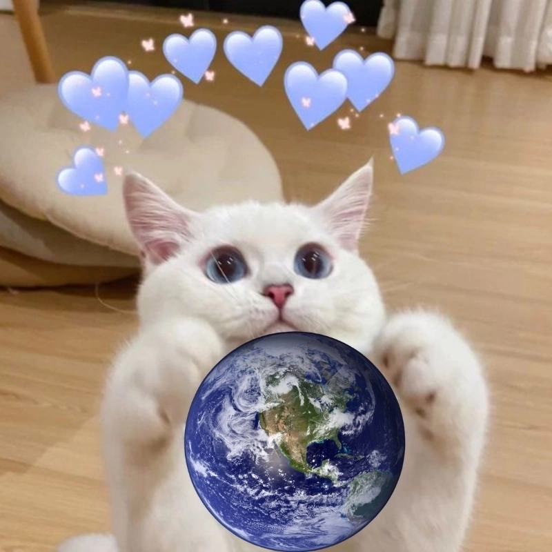 Meme dễ thương có chữ sẽ truyền tải cảm xúc ngọt ngào và thú vị cho người nhận.