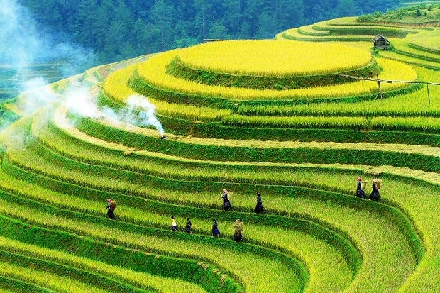 Mẹo hay khi kinh nghiệm đi mù cang chải
