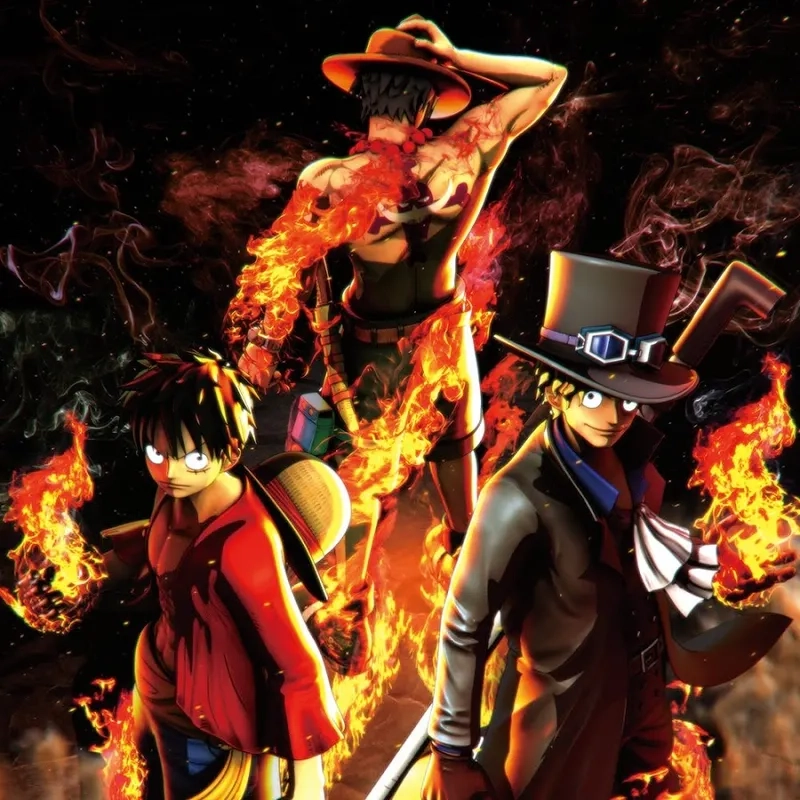 Mối quan hệ One Piece Sabo x Luffy đầy cảm xúc và sâu sắc