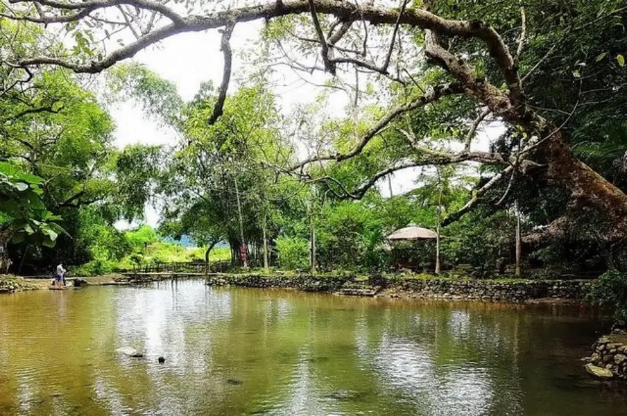 Ngắm nhìn hình ảnh suối cá thần thanh hóa yên bình