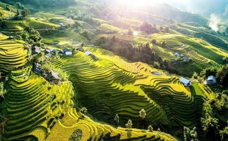 Ngắm nhìn hình ảnh thung lũng mường hoa đầy mê hoặc
