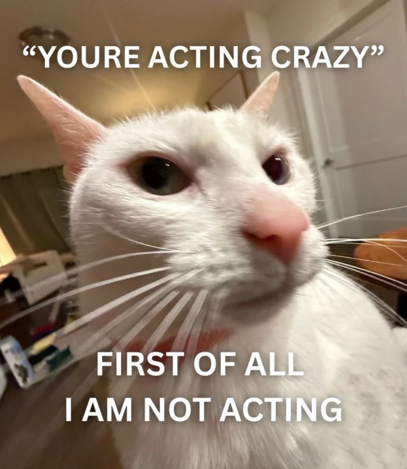 Ngỡ ngàng chưa với really meme ngạc nhiên cực chất