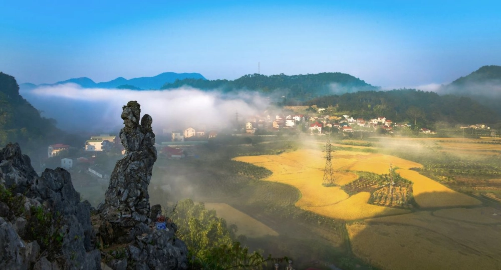 Nhiều người hỏi nàng tô thị có thật không không ngừng