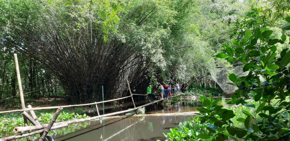 Nhìn lại làng tre phú an 2022 qua hình ảnh kỷ niệm