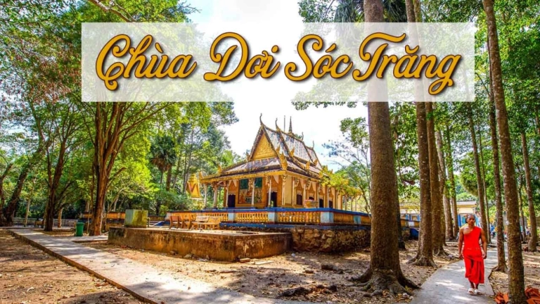 Những điều thú vị về Chùa Dơi - Ngôi chùa đầy bí ẩn