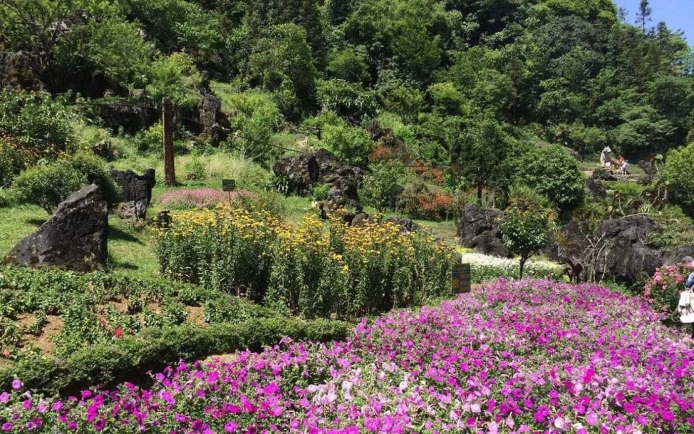 Nơi thiên nhiên kỳ vĩ núi hàm rồng lào cai