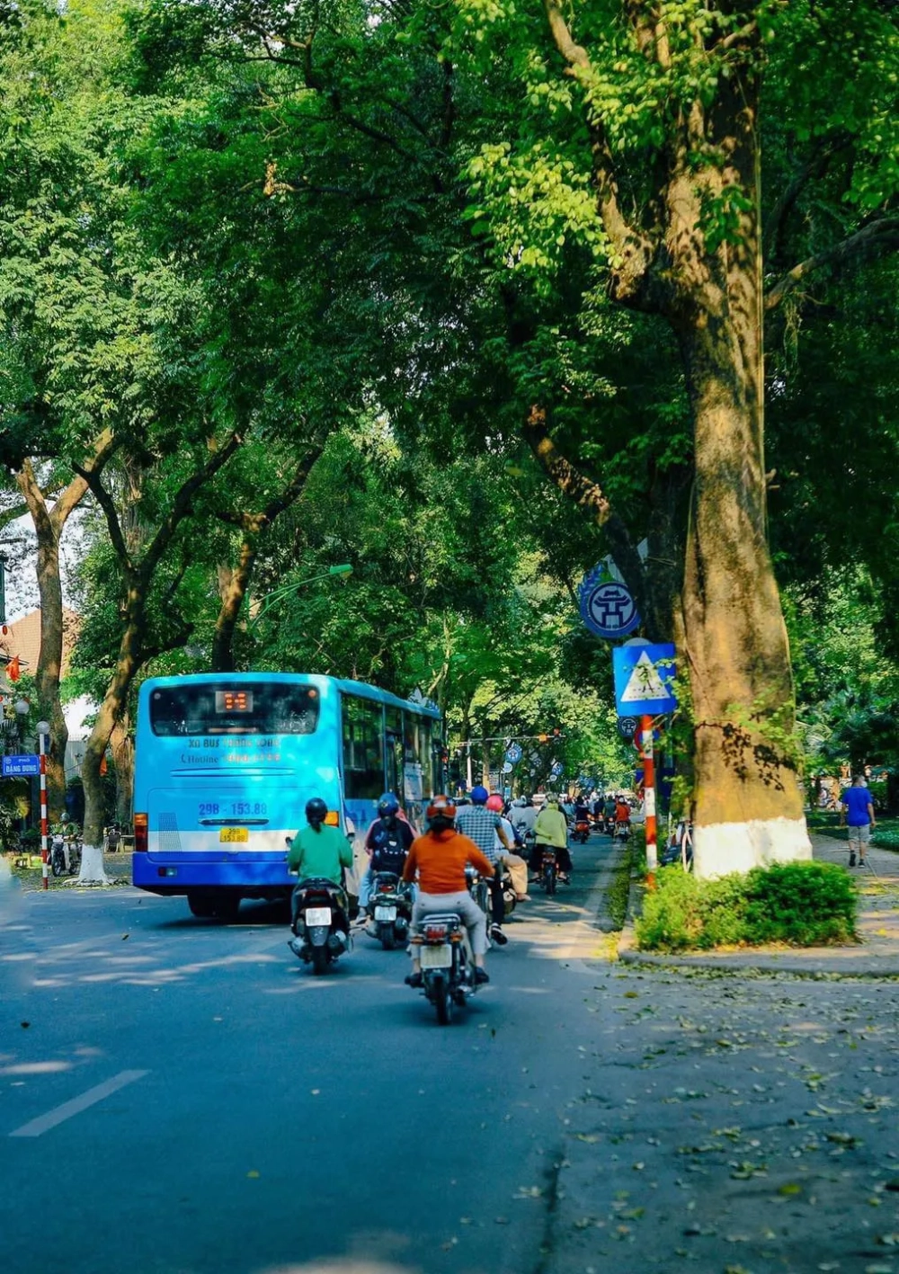 Phan đình phùng ở đâu mà thu hút bao tay máy trẻ