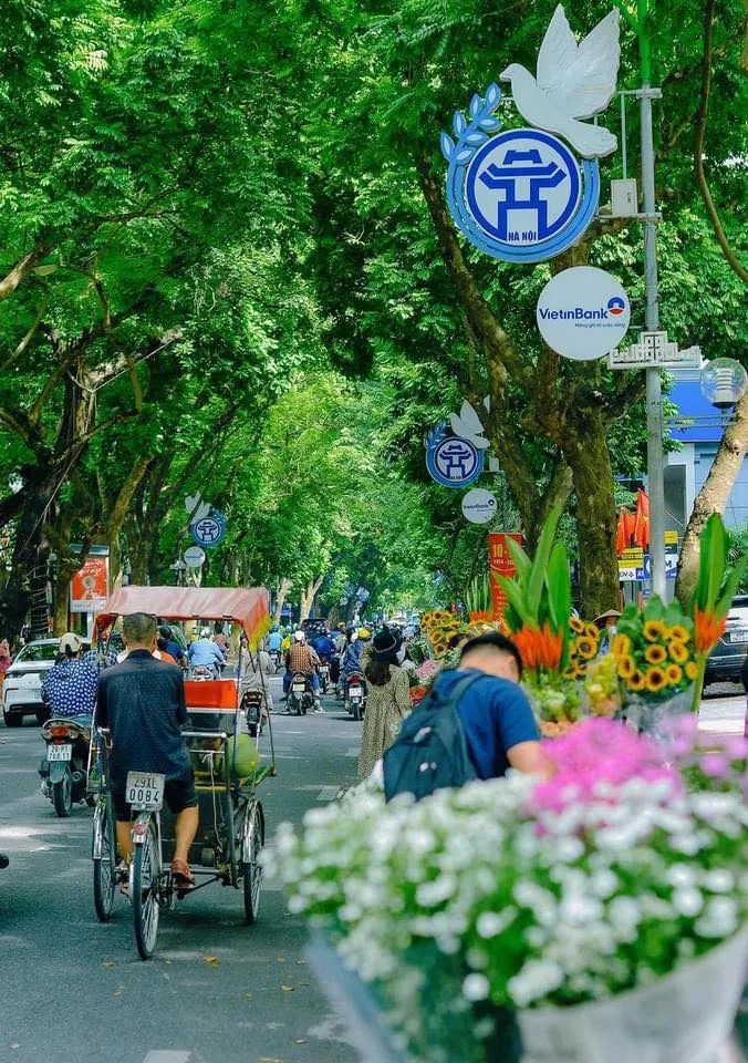 Phan đình phùng phố thanh bình dưới hàng cây cổ thụ