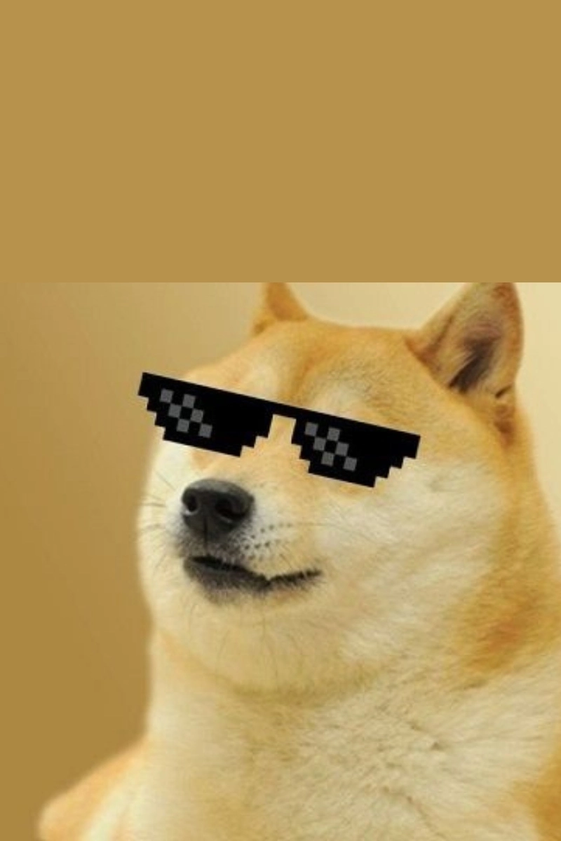 Tải ngay hình nền meme cheems siêu hài hước, siêu đáng yêu