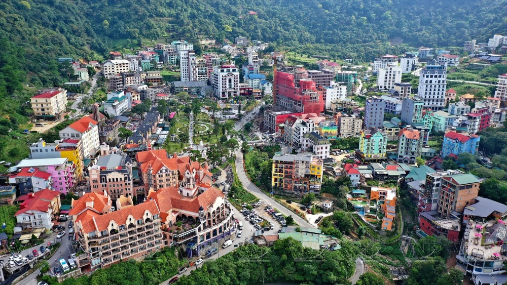 Tam Đảo có gì đẹp núi rừng thơ mộng và mây trời lãng đãng