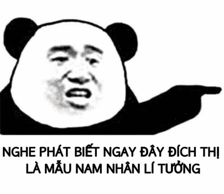 Tấu hài meme gấu trúc bựa Weibo – Combo biểu cảm đỉnh cao cực cháy
