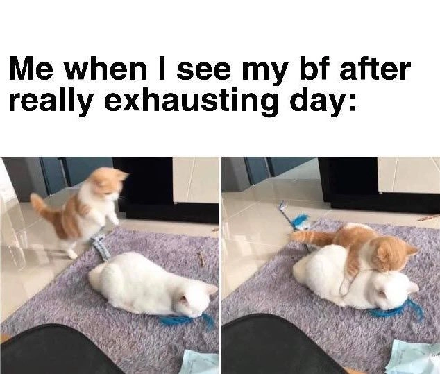 Thả ôm meme cute cho người bạn đang cần một cái ôm ấm áp