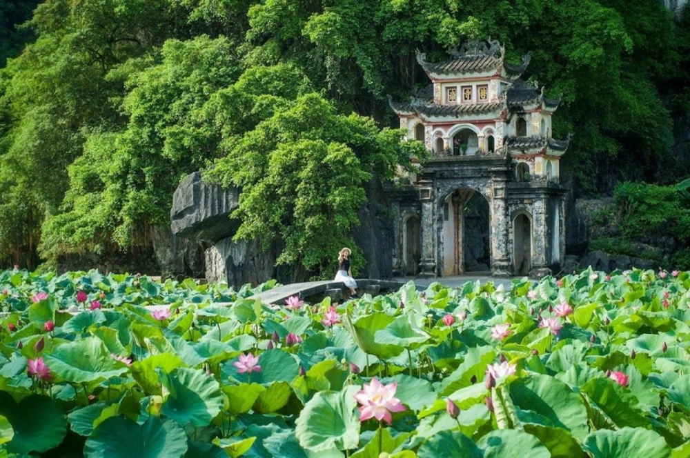Tham gia tham quan tam cốc bích động để trải nghiệm