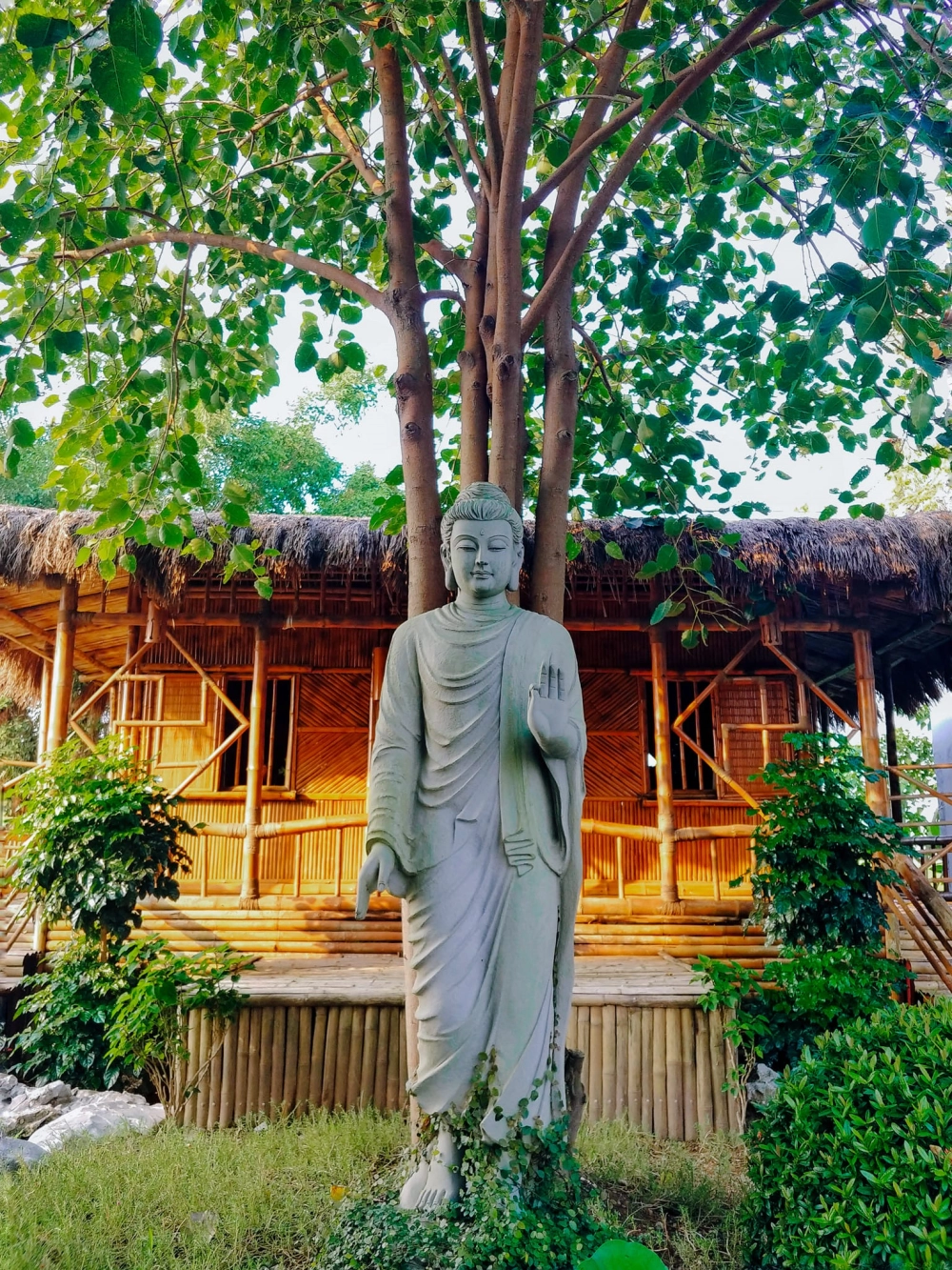 Tham khảo bài đánh giá về chùa Phật Quang chi tiết