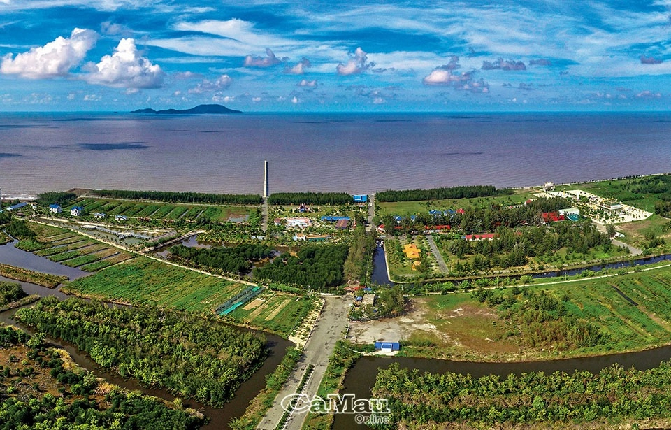 Tham quan vườn quốc gia Mũi Cà Mau mang trải nghiệm thiên nhiên.
