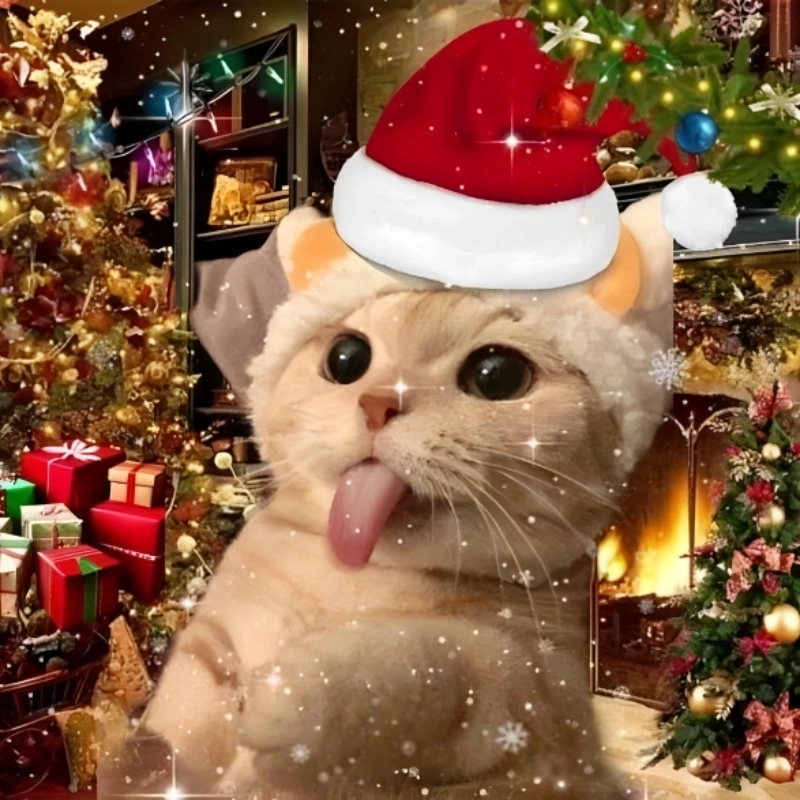 Chỉ cần nhìn meme mèo hihi là biết đang có chuyện vui rồi!