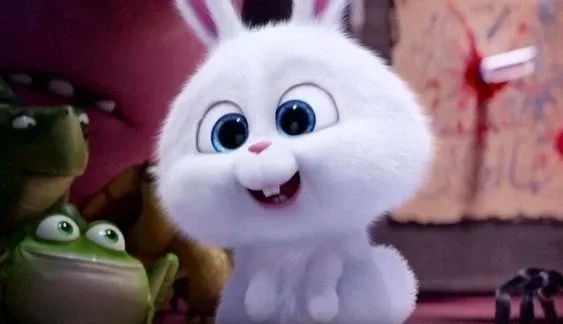 Thỏ Snowball giá cực hợp lý, mua 1 lần là mê trọn đời