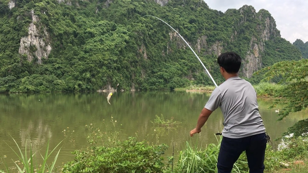 Thư giãn câu cá tại câu cá hồ quan sơn bình yên