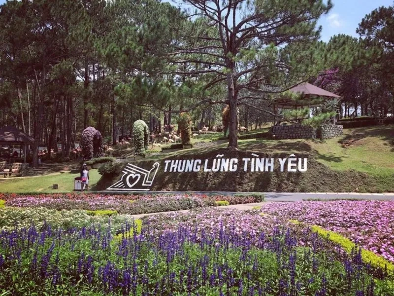 Thung lũng tình yêu tại đà lạt mang đến trải nghiệm mộng mơ