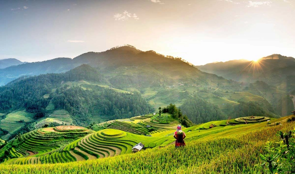 Thưởng ngoạn mùa lúa chín ở mù cang chải tuyệt đẹp