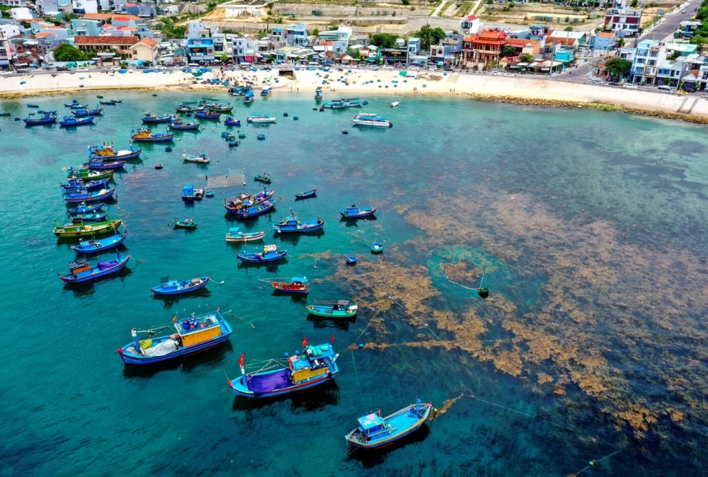 Tìm hiểu hòn khô quy nhơn 2023 cập nhật mới nhất