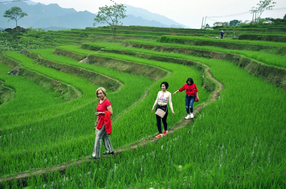 Tìm hiểu pù luông ở đâu thanh hóa cho chuyến đi
