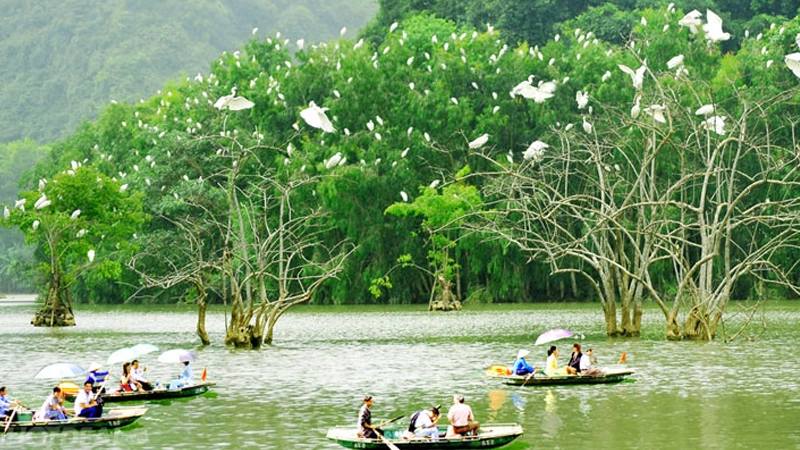 Tìm hiểu vườn chim thung nham ở đâu dễ dàng