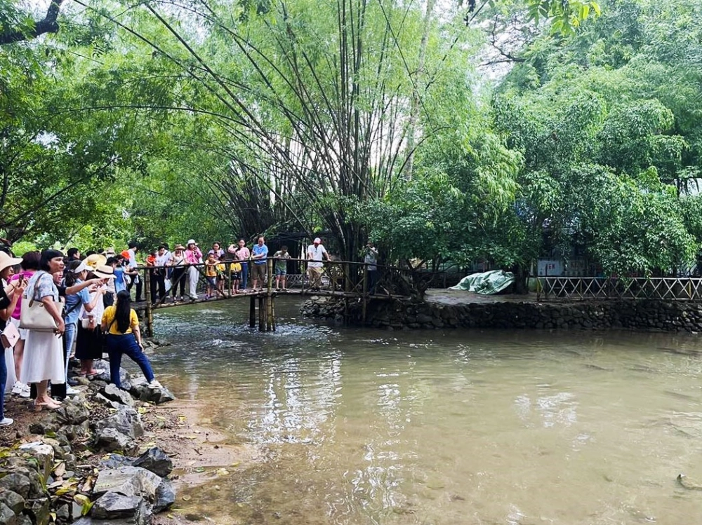 Tìm về suối cá thần cẩm thủy thanh hóa thơ mộng