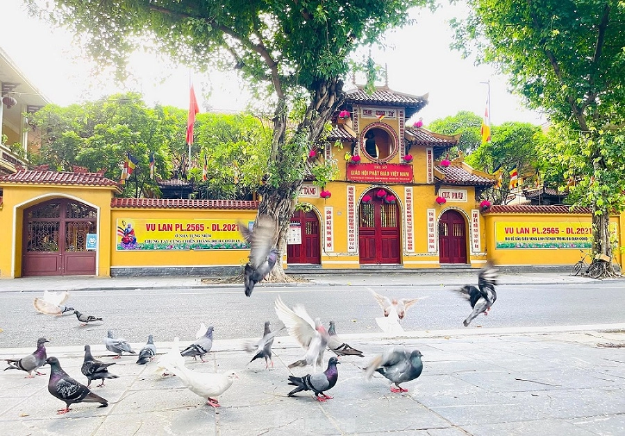 Tin tức về Chùa Quán Sứ luôn được quan tâm