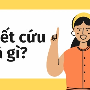 Tổng hợp 1544+ Meme Hết Cứu: Biểu Cảm Khó Đỡ Khiến Bạn Cười Không Ngớt