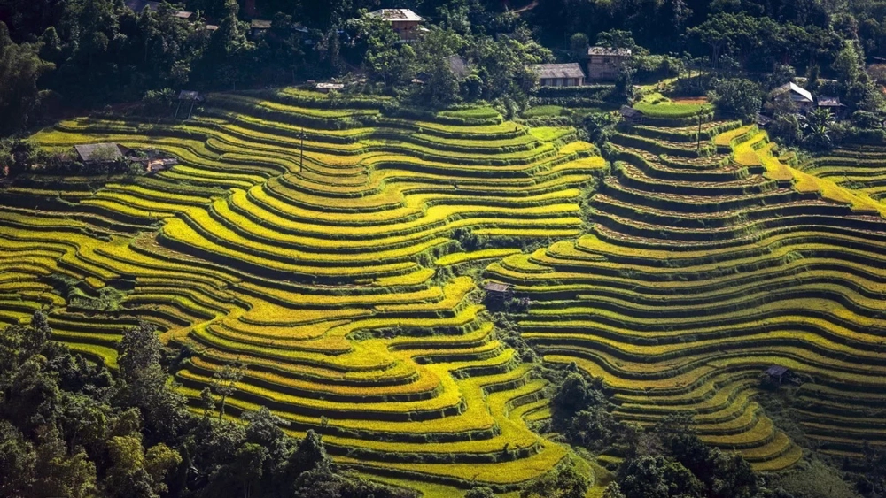 Tổng hợp ảnh đẹp Hoàng Su Phì hút mắt
