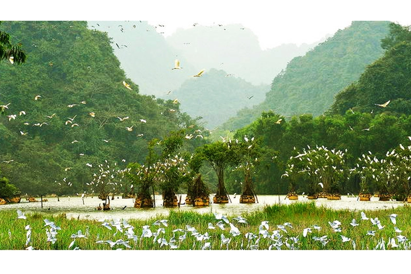 Trải nghiệm thiên nhiên vườn chim thung nham có gì