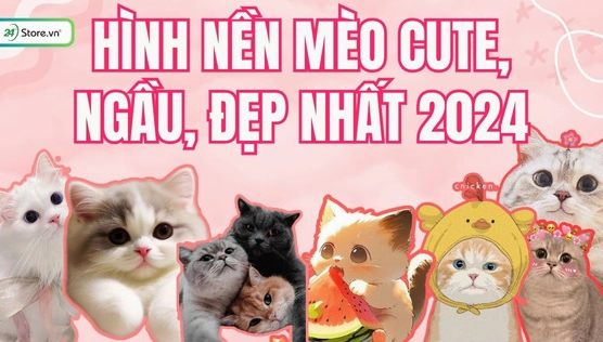 Tuyển Tập Ảnh Avatar Mèo Cực Dễ Thương Cho Năm 2026