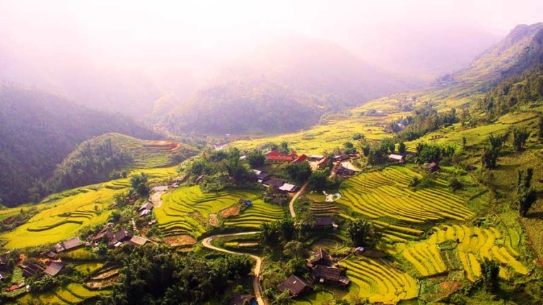 Vẻ đẹp tuyệt sắc của Thung Lũng Mường Hoa Sapa