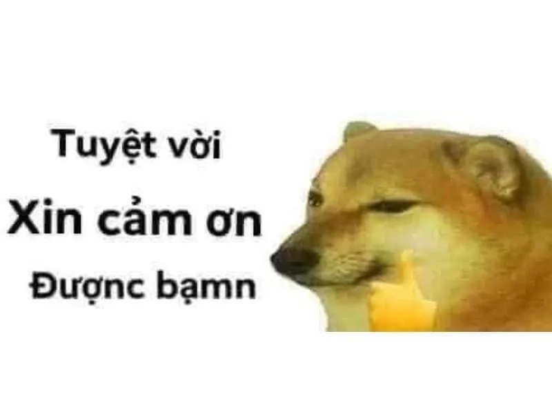 Video meme cảm ơn sinh động, lan tỏa cảm xúc tích cực