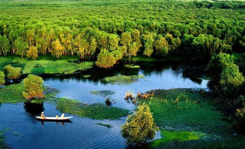 Vườn quốc gia Mũi Cà Mau Cà Mau nổi tiếng với rừng ngập mặn.