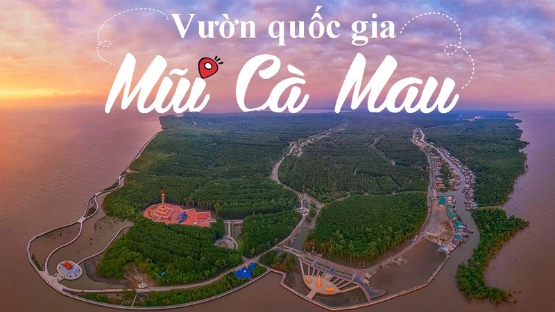 Vườn quốc gia Mũi Cà Mau đất mũi thiêng liêng cực Nam