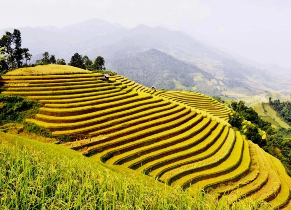 Xem ngay bản đồ du lịch Hoàng Su Phì chi tiết