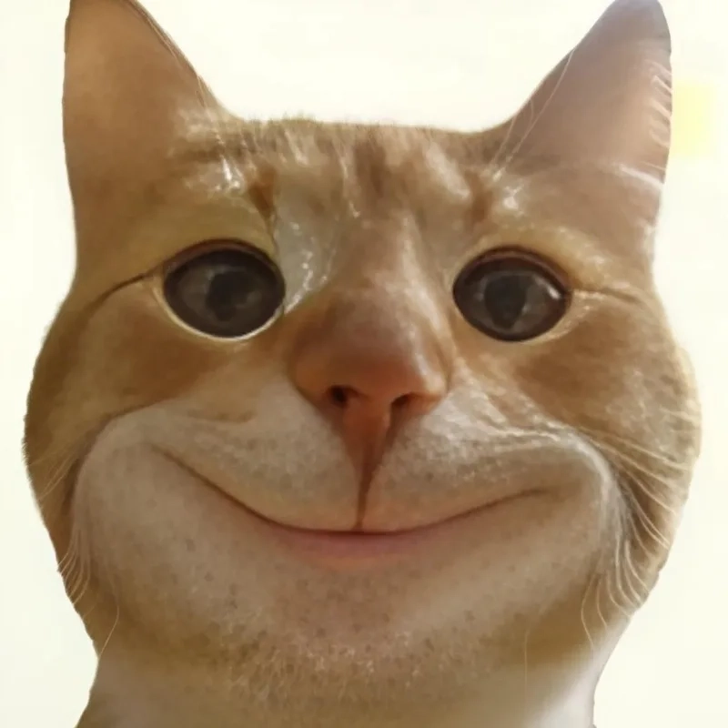 Meme mèo vô tri avatar làm cho mọi bức ảnh trở nên thú vị và dễ thương hơn