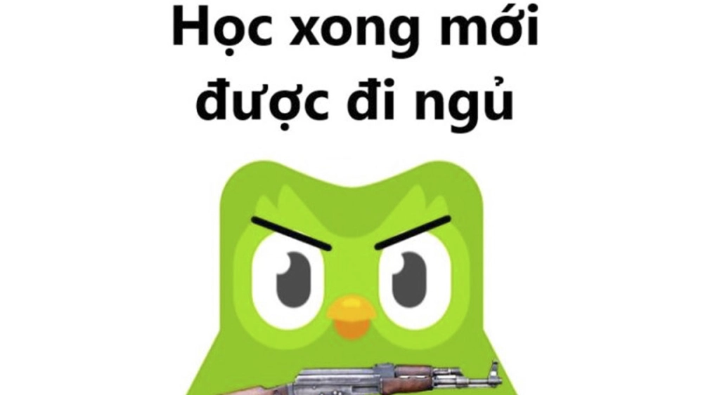 Ý nghĩa của duolingo meme