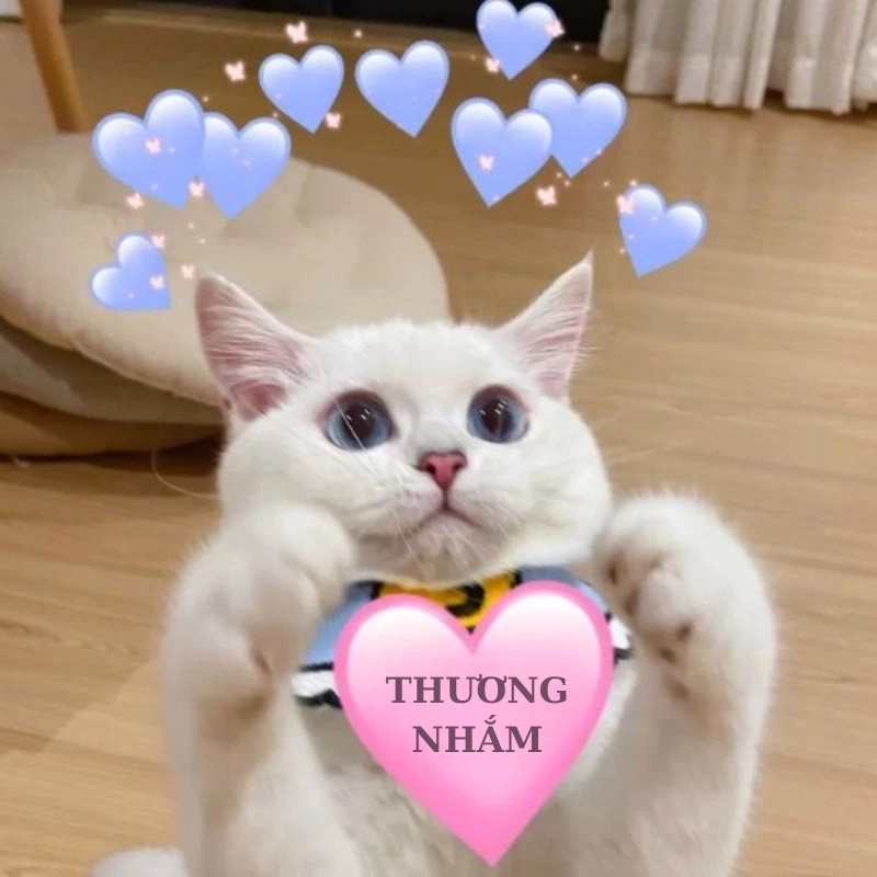 Ý nghĩa của meme dễ thương